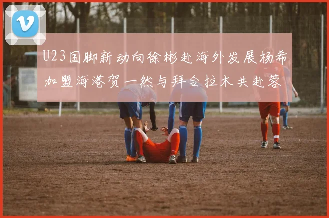 U23国脚新动向徐彬赴海外发展杨希加盟海港贺一然与拜合拉木共赴蓉城