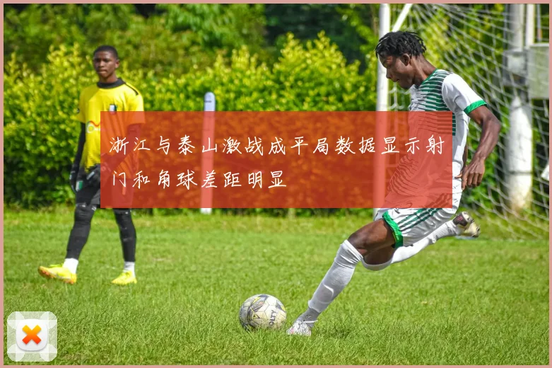 浙江与泰山激战成平局数据显示射门和角球差距明显
