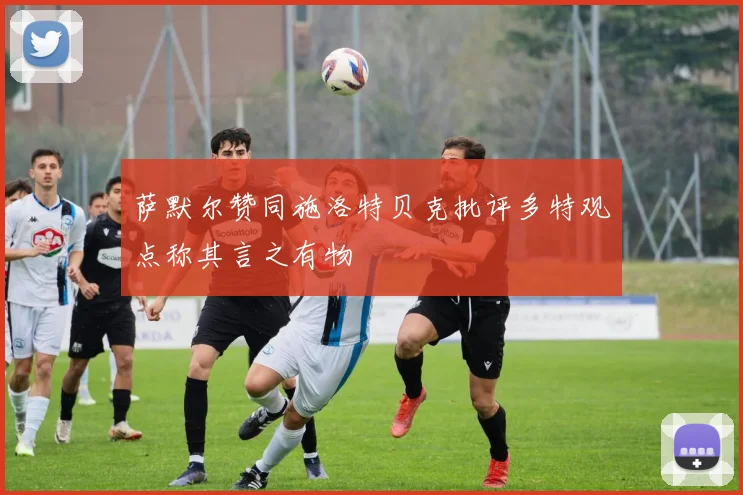 萨默尔赞同施洛特贝克批评多特观点称其言之有物