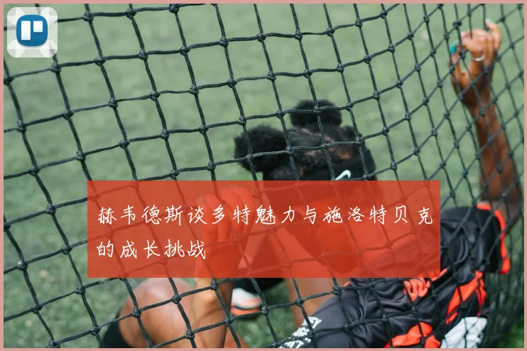 赫韦德斯谈多特魅力与施洛特贝克的成长挑战