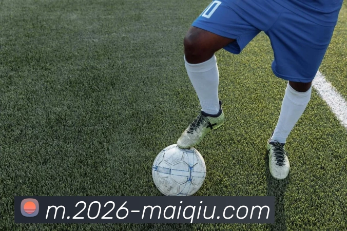 中超买球官网品牌故事