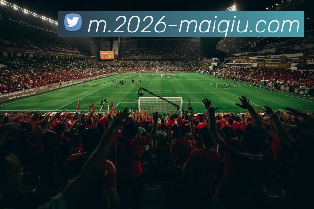 中超买球官网服务体系